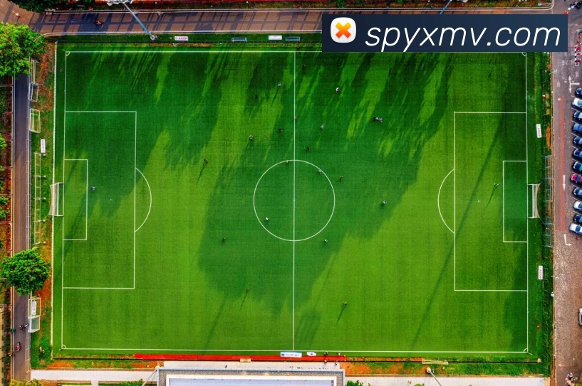 星空手机在线登陆入口平台生态图